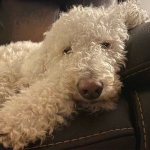 Meet your Posher, Phương nhi